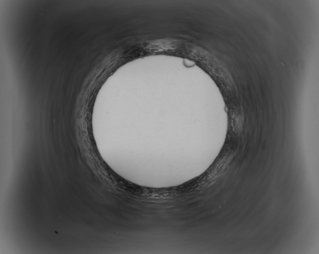 X0000086721393200705111545