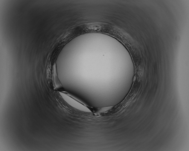 X0000086721394200705111545
