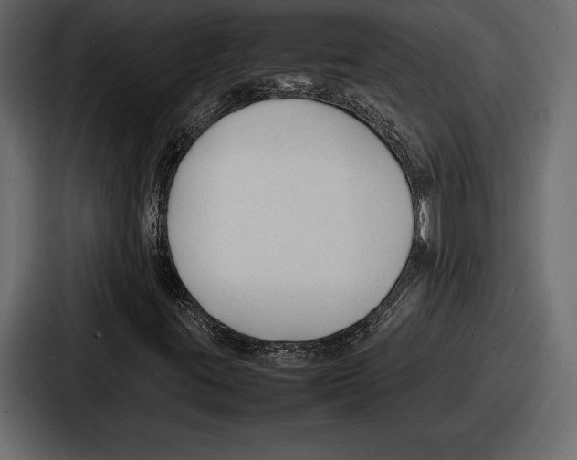 X0000086721395200705111545