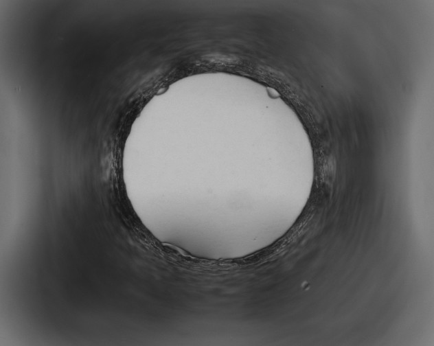 X0000086721397200705111545