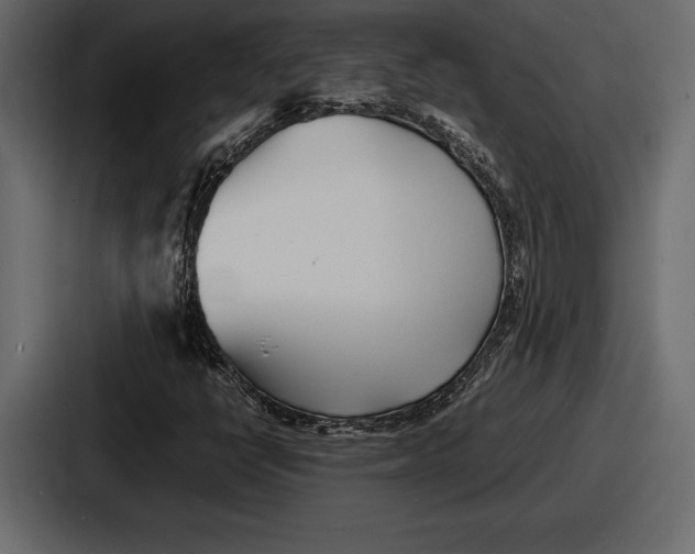 X0000086721398200705111545