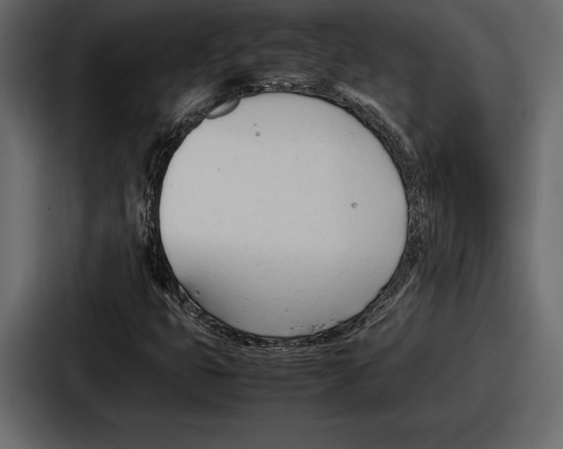 X0000086721399200705111545