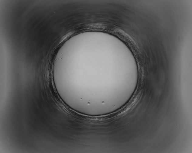 X0000086721401200705111545