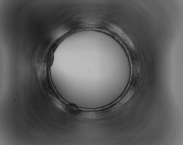 X0000086721402200705111545