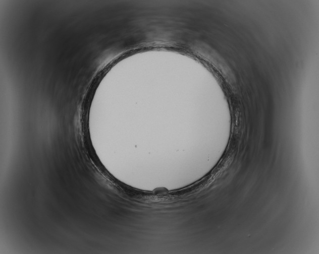 X0000086721404200705111545
