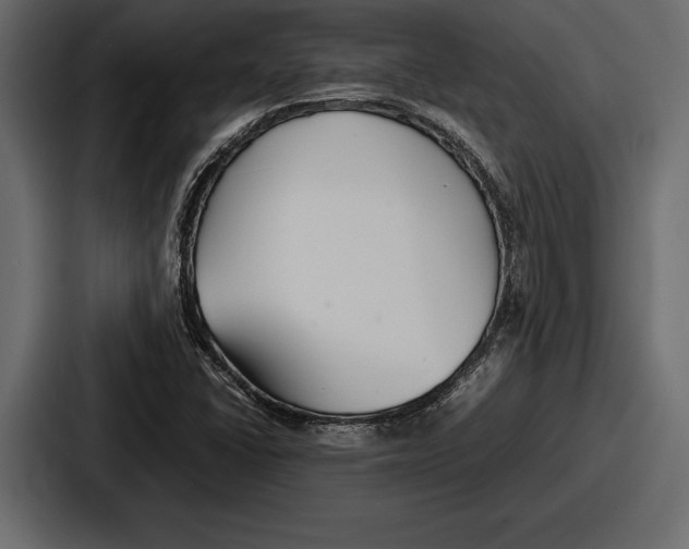 X0000086721406200705111545