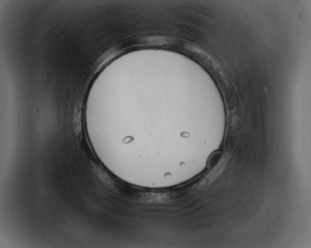 X0000086721409200705111546