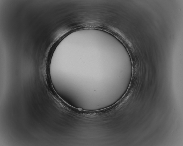 X0000086721410200705111546