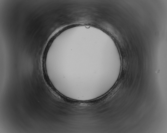 X0000086721412200705111546