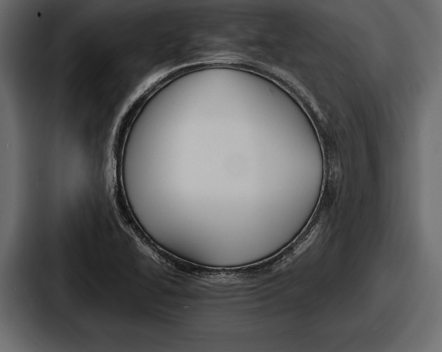 X0000086721414200705111546