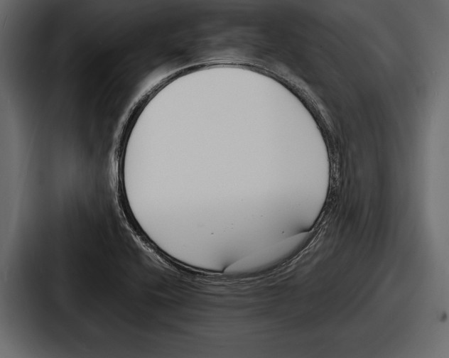 X0000086721416200705111546