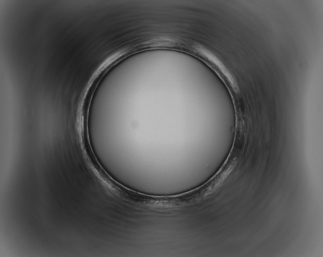 X0000086721418200705111546