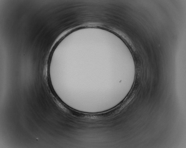 X0000086721420200705111546