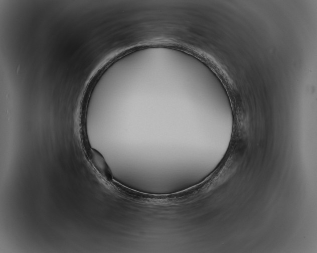 X0000086721422200705111546