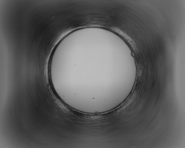 X0000086721423200705111546