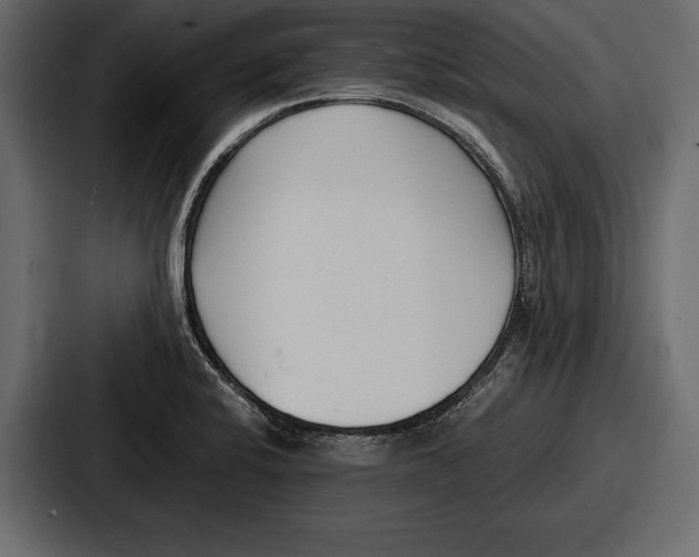 X0000086721424200705111546