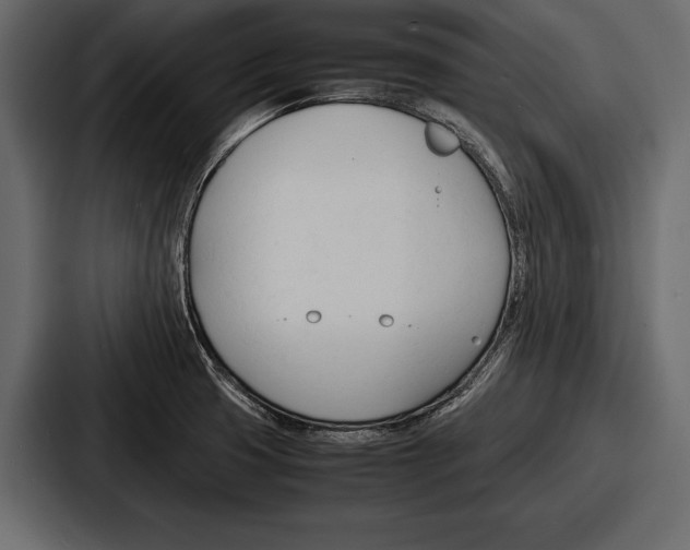 X0000086721425200705111546