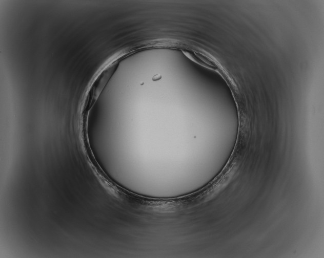 X0000086721426200705111546