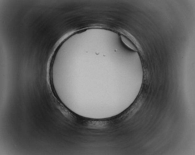 X0000086721427200705111546