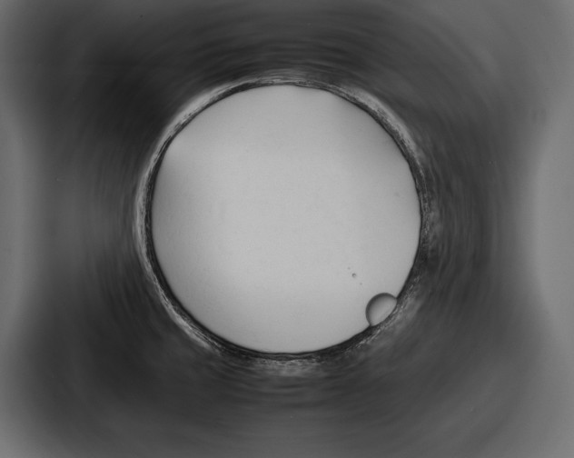 X0000086721429200705111546