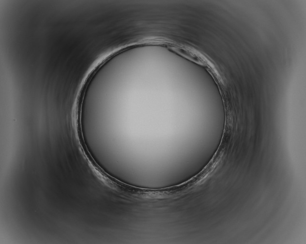 X0000086721430200705111546