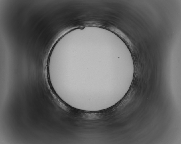 X0000086721431200705111546