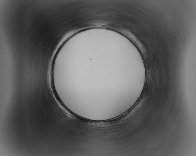 X0000086721432200705111546