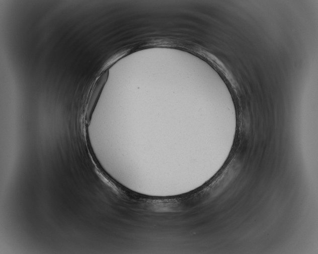 X0000086721433200705111546