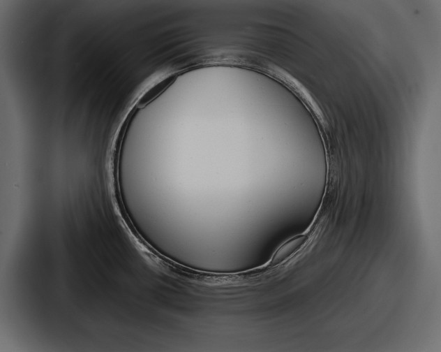 X0000086721434200705111546