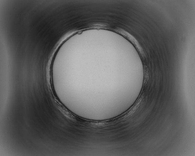 X0000086721435200705111546