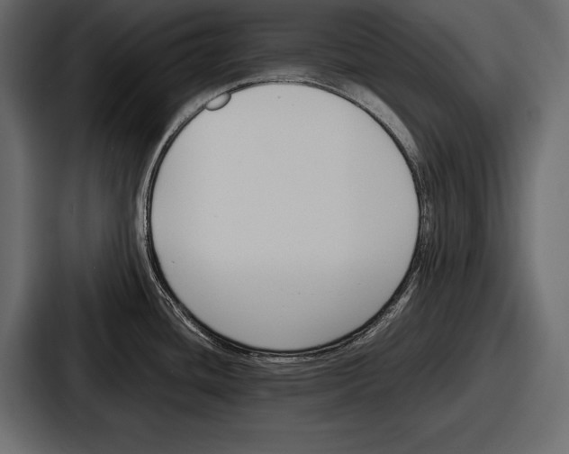 X0000086721436200705111546