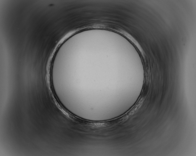 X0000086721437200705111546