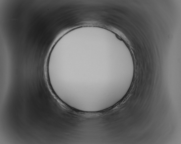 X0000086721440200705111546