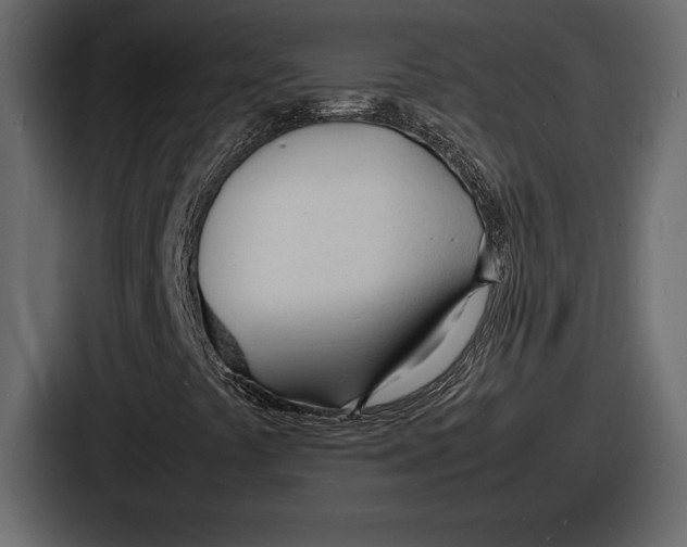 X0000086721441200705111545