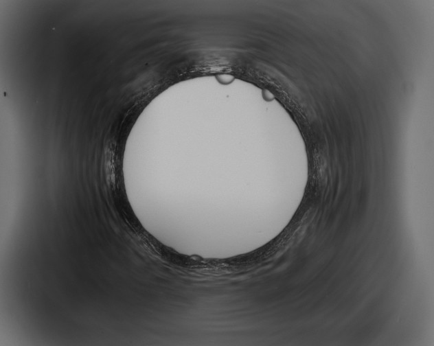 X0000086721442200705111545