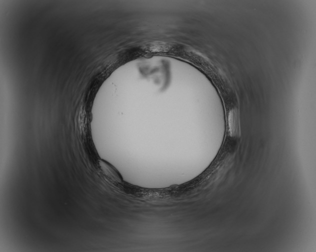 X0000086721443200705111545