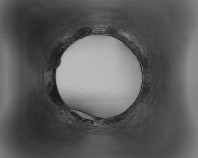 X0000086721445200705111545