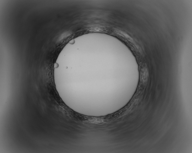 X0000086721446200705111545