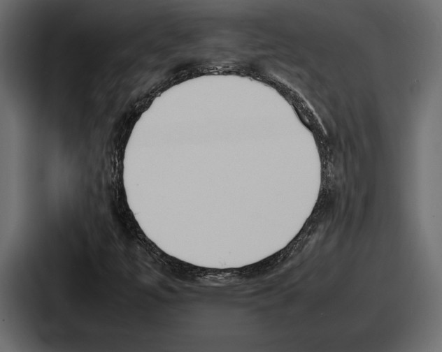 X0000086721447200705111545