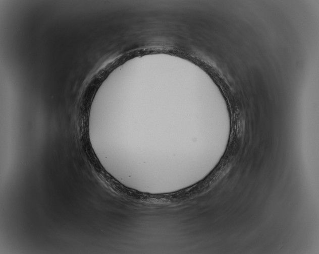 X0000086721448200705111545