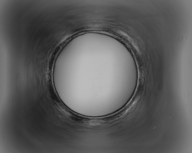 X0000086721449200705111545