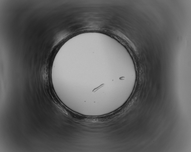 X0000086721450200705111545