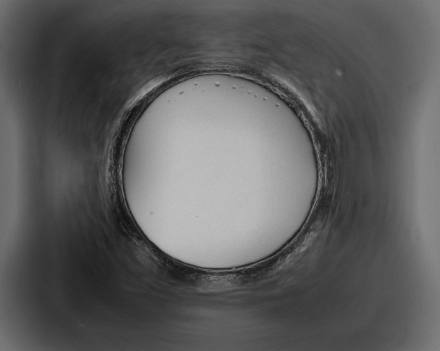 X0000086721453200705111545