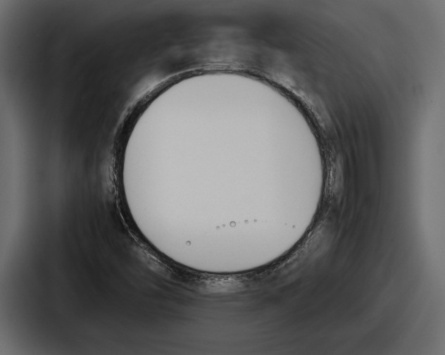 X0000086721454200705111545