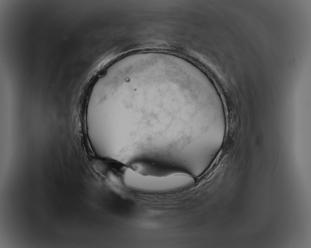 X0000086721455200705111545