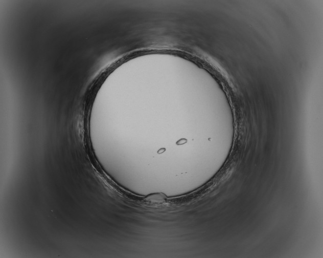 X0000086721456200705111545