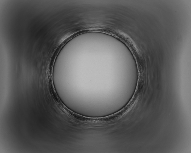 X0000086721457200705111545