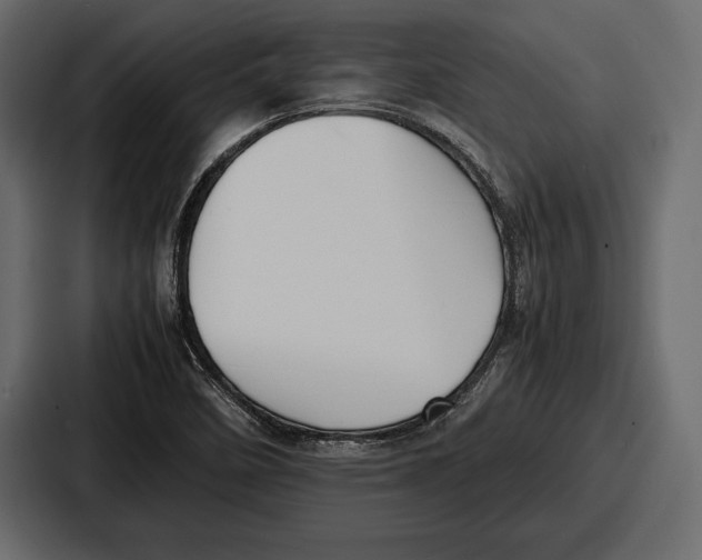 X0000086721458200705111545