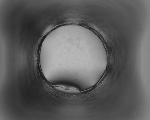 X0000086721459200705111545