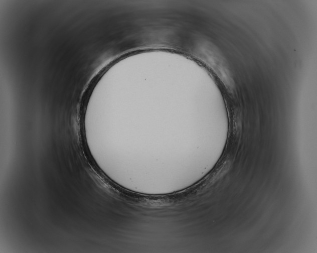 X0000086721460200705111545